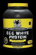 Image result for Jay Robb Egg White Protein Powder