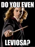 Image result for Leviosa Meme