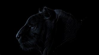 Image result for All-Black Profile Pic