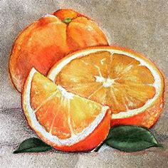 Orange Still Life. 7x7 inches. 2015 | Still life drawing, Watercolor paintings for beginners, Learn watercolor painting