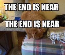 Image result for End Is Near Meme