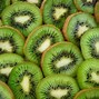 Image result for Organic Kiwi Fruit