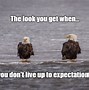 Image result for Funny Eagles Memes