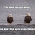 Image result for Two Weeks of Eagles Memes