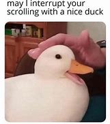 Image result for Duck Profile Picture Meme