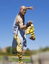 Image result for Southern Dragon Kung Fu