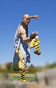 Image result for Dragon Fist Kung Fu Style