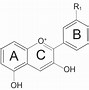 Image result for aytocine