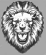 Image result for Lion Head Black Out Like