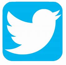 Image result for Twitter iOS Icon