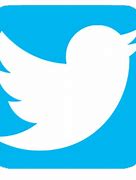 Image result for Twitter Android Icon