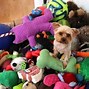 Image result for Pet Toys