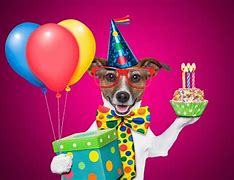 Image result for Funny Happy Birthday Signs