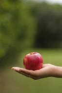 Image result for Man Holding Apple in Right Hand