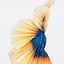Image result for iOS 9 Wallpaper iPhone 6s Plus
