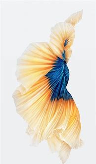 Image result for iPhone 6s Plus Live Wallpaper