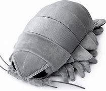 Image result for Isopod Stuffed Animal