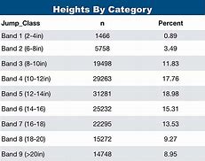 Image result for High Jump Conversion Chart