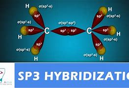 Image result for Label All Sp3 Hybridized Carbon