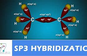 Image result for Sp3 Hybridized Carbon