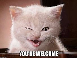 Image result for Your Welcome Cat