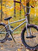 Image result for Brown We the People BMX 22 Tire