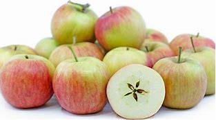 Image result for Lady Williams Apple