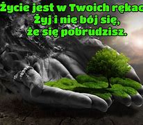Image result for co_to_za_Życie_jest_w_porządku