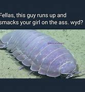 Image result for Isopod Sunday Meme