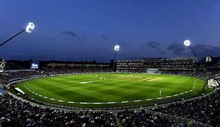Image result for Picture of a Cricket Field