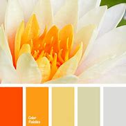 Image result for Orange Teal Grey Wallpaper