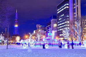 Image result for Sapporo Night