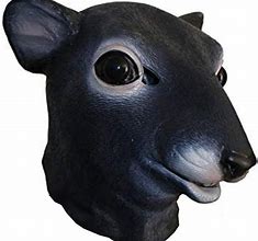 Image result for Rat Head Mask
