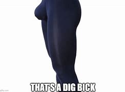 Image result for Dig Bick Meme