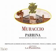 Image result for Parrina Parrina Rosso