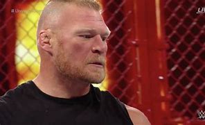 Image result for Brock Lesnar Beard WWE