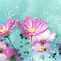 Image result for Some Cute Flowers