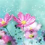 Image result for Cute Flower Wallpaer