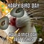 Image result for Happy Birthday Kitten Meme