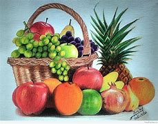 Image result for Fruit Still Life Sketch