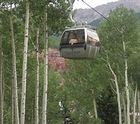 Image result for Mountain Gondola Rides