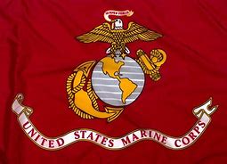 Image result for USA Marine Flag
