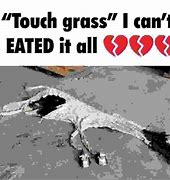 Image result for I Cast Touch Grass