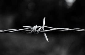 Image result for Barb Wire Background