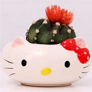 Image result for Hello Kitty Cactus