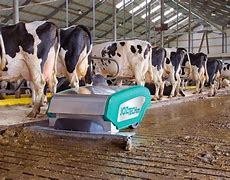 Image result for Manure Cleaning Robot