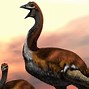 Image result for Largest Bird in History