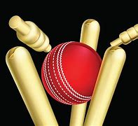 Image result for Wicket Breaking Ball in Cricket