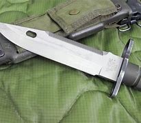 Image result for Buck M9 Bayonet