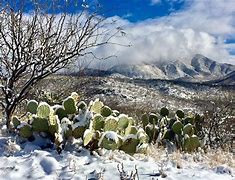 Image result for Tucson Arizona Winter